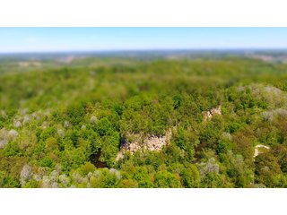 Property photo 17 - LAND AUCTION - 2,596+/- ACRES IN 28 TRACTS IN COSHOCTON & MUSKINGUM COUNTIES, OHIO